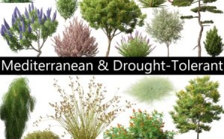 Download Free UE5 Plants 3D Models – High Quality