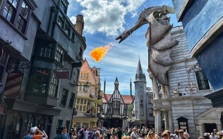 Unleashing the magic with Disney world travel packages