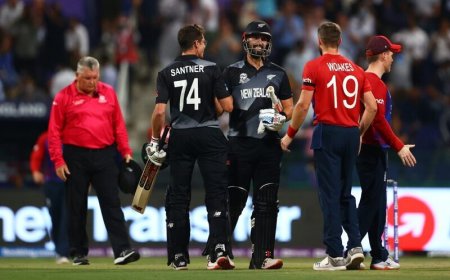 NZ vs ENG T20I: Christchurch Match Highlights