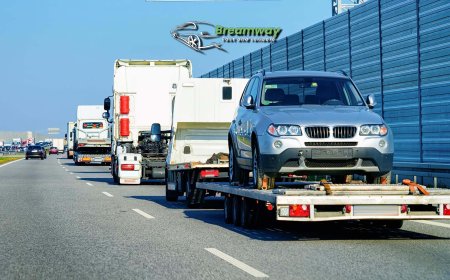 How to Find Reliable California Auto Shipping for Snowbirds on a Budget