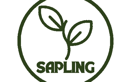 Discover Daneen Beauty: The Best Skincare Brand in Pakistan for Radiant, Healthy Skin