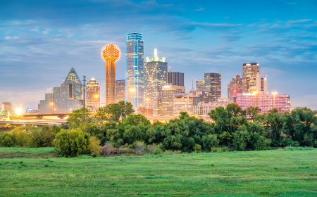 Why Businesses Trust App Developers in Dallas for Innovation