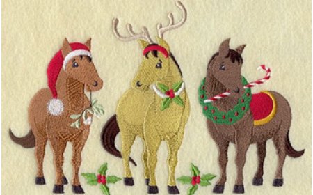 What’s the Most straightforward Way to Shop EmbroideryDesign Packs Online?