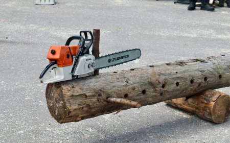 Emergency Tree Removal Services: Protecting Your Property When Every Second Counts