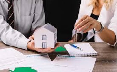 Why You Need a Real Estate Lawyer in Mississauga