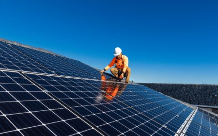 Global Solar Panel Cleaning Market Report and Forecast 2025–2034