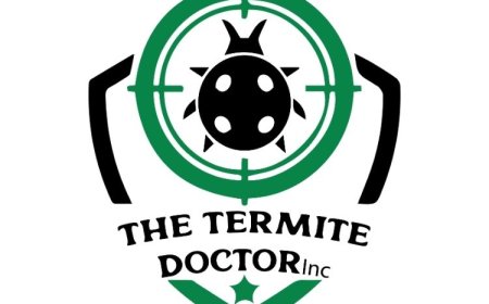 Top Signs You Have a Pest Problem and What to Do Next