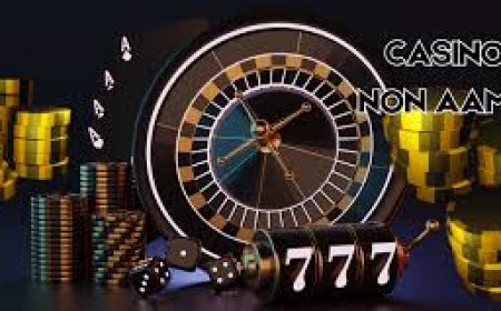 Casino Non ADM: Come Giocare in Sicurezza e Responsabilità