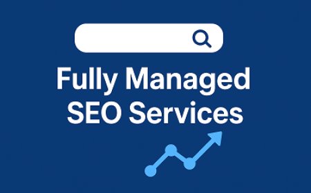 Why Fully Managed SEO Services Are the Future of Digital Marketing