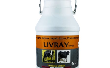 What Qualities Define the Best Veterinary Feed Supplement Company?