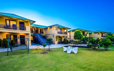 Discover the Best Resorts in Jim Corbett for a Luxurious Nature Escape