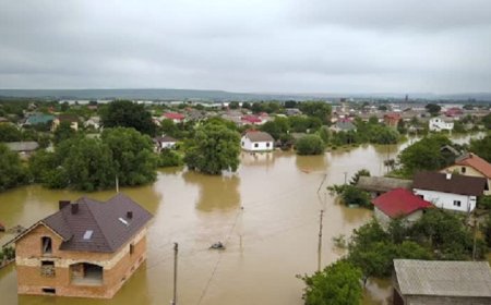 Chancing the Right Fit What to Look for When Comparing Insurance Companies for Home Insurance