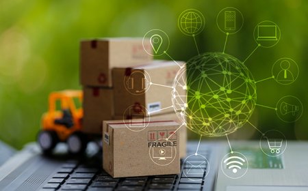 Turning Risk into Competitive Advantage: Lessons from Resilient Supply Chains