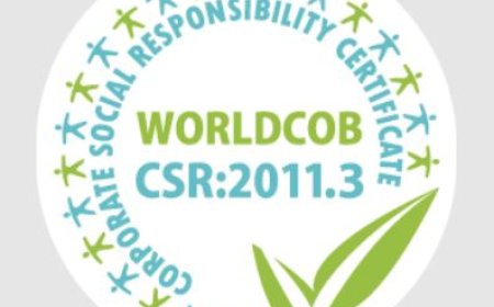 ¿Cómo obtener la certificación de RSE en México?