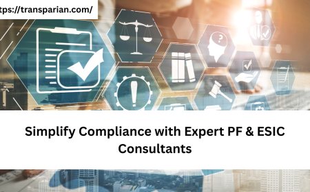 Simplify Compliance with Expert PF & ESIC Consultants