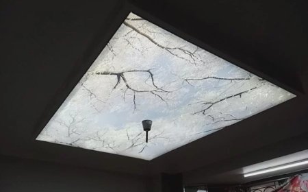 Transform Your Interiors with the Best Stretch Ceiling Manufacturers in Noida