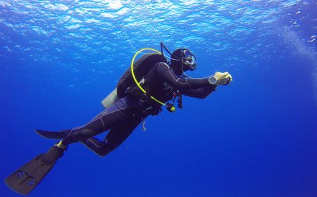 Navigating Excellence: Top-Rated Marine Equipment Suppliers and Diving Service Providers in Saudi Arabia