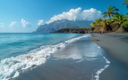 The Role of Ibogaine in Healing Trauma and Enhancing Spiritual Awareness