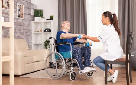 Qualities of an NDIS provider with expertise in disability support - A precise overview