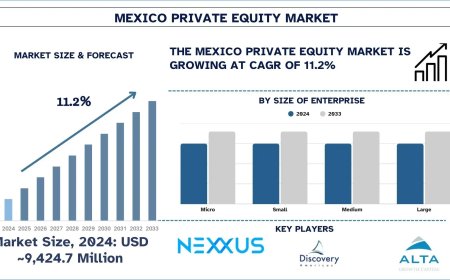 Mexico Private Equity Market Size & Share Analysis, 2033 | UnivDatos