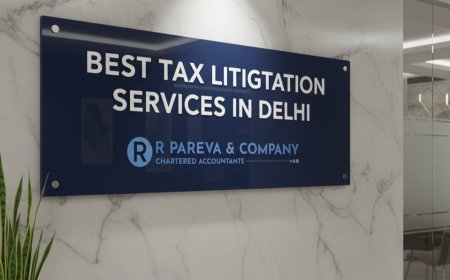 The Role of Professionals in Tax Litigation in India