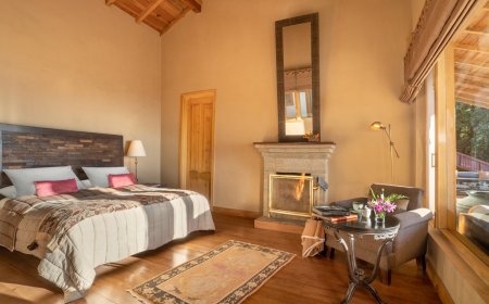 Experience Tranquility Amid Nature: The Best Resorts in Binsar for a Soulful Getaway