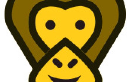 Meet New Friends Online Through Trending Video Chat Platforms