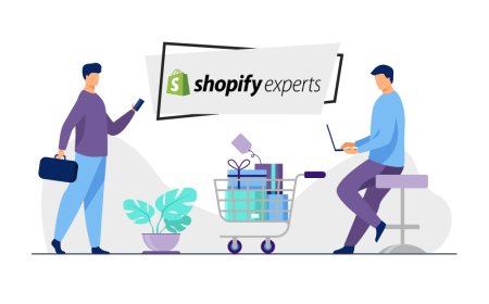 Shopify Plus Marketing Consultation for E-Commerce Growth