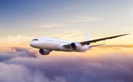 Explore the Best of Airport Convenience with Nearairportterminal