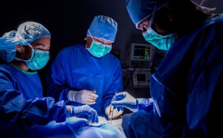 The Journey to Healthier Veins: Expert Vascular Care in the UAE