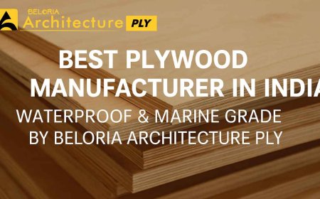 Best Plywood Manufacturer in India | Waterproof & Marine Grade by Beloria Architecture Ply