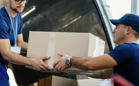 European Removal Experts: Your Top Choice Among Removal Companies Spain to UK