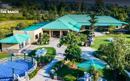 Top Hotels in Corbett You Must Visit for an Unforgettable Stay