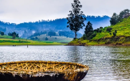 South India Highlights: Bangalore Mysore Ooty Sightseeing Tour