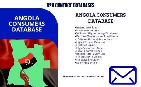 Buy Verified Angola Consumers Database for Better Marketing Results