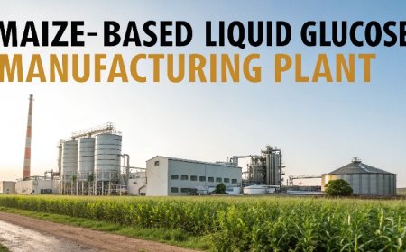 Maize Based Liquid Glucose Manufacturing Plant Project Report | Raw Material Requirements and Costs