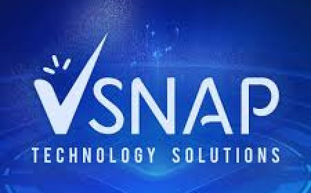 Web Design, SEO, and Branding Services by Vsnap Technology