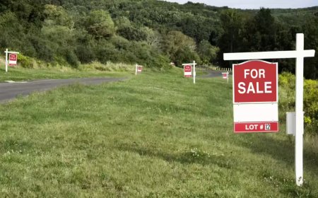 Comparing Land vs Homes: What Makes Land for Sale in Smith Mountain Lake VA Worth It