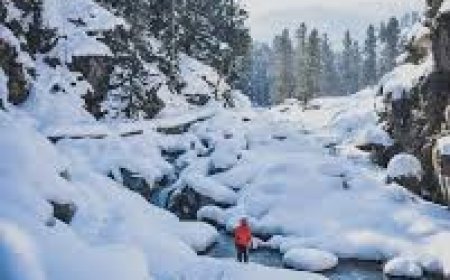 Srinagar and Gulmarg Packages – A Journey Through Kashmir’s Timeless Beauty