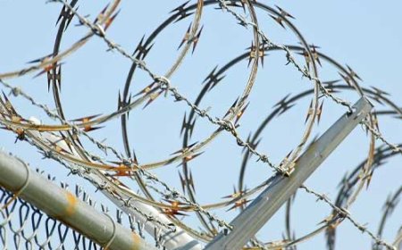 What Should You Look for Before Partnering with Razor Wire Manufacturers?