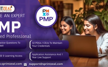 PMP Course Explained: What to Expect, Learn, and Achieve