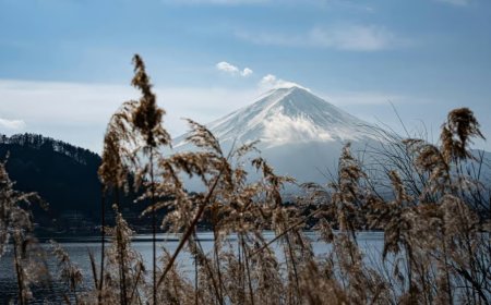 Design Your Dream Itinerary on a Customizable Mount Fuji Tour
