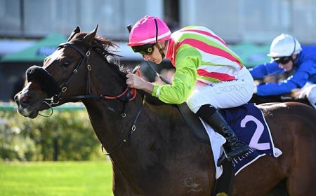 Best PalmerBet: A Friendly Review & Guide