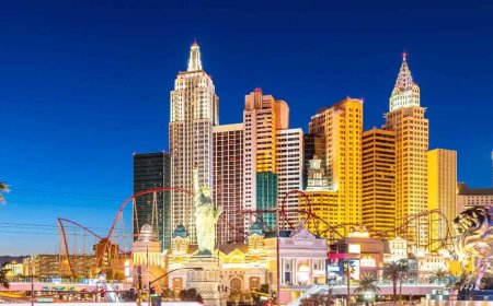 Exploring the Las Vegas Design Center: A Guide for Homeowners and Architects