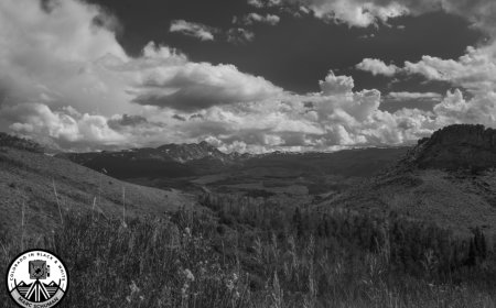 Minimalist Interiors in Black and White: Elevating Space Through Silver Halide Photography!