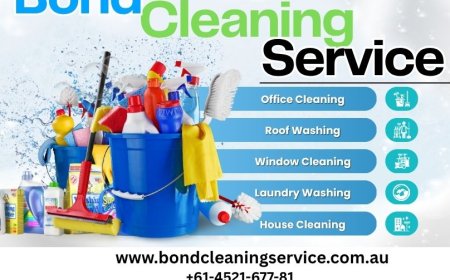 Professional Carpet Cleaning Guide: Deep Clean & Maintain Your Carpets