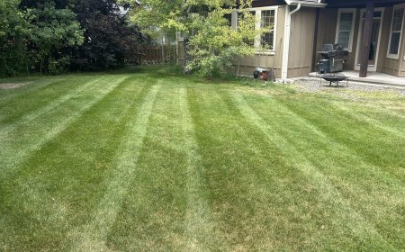 Wondering About Lawn Care in Belgrade, MT? Here’s How to Choose the Right Pro