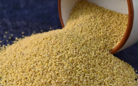 Where Can You Buy Organic Foxtail Millet Online at the Best Price in Your City
