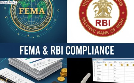 A Complete Guide to FEMA and RBI Compliance in India