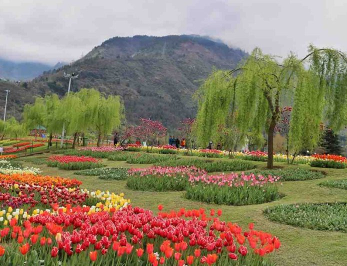 Discover Paradise with the Perfect Srinagar Local Sightseeing Itinerary